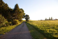Haus-und-Garten-5-Zuwegung-scaled